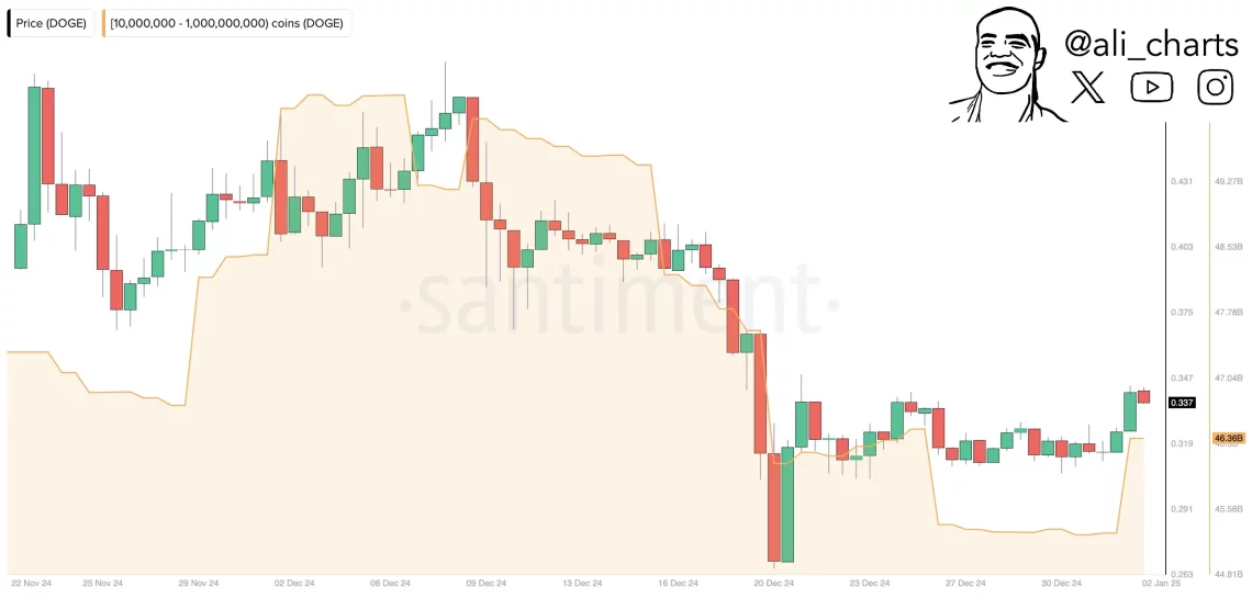 doge balinalarindan 1 milyar dolarlik satin alim 0 FPXGzTWq