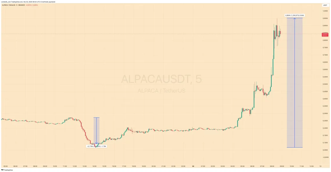 binancein hamur gibi oynadigi altcoin projeleri 9 LcHK6RFU