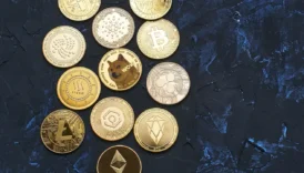 altcoin yatirimcisinin yuzu gulebilecek mi V3Sri2zX