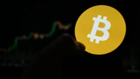 bitcoinden korkmak mi kacinmak mi ii d9LMrETh